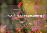 CSGO女队720，电竞舞台上绽放的铿锵玫瑰