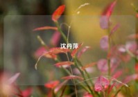 沈丹萍
