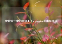 绝地求生中的网络王子，pubgkun的虚拟风采