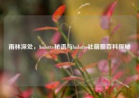 雨林深处，hulotte秘语与hulotte社萌娘百科探秘