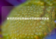 探寻逆战经验表图标中的游戏经验奥秘