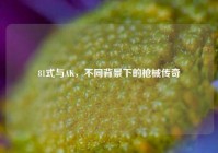 81式与AK，不同背景下的枪械传奇