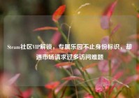Steam社区VIP解锁，专属乐园不止身份标识，却遇市场请求过多访问难题