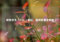 绝地求生（PUBG）畅玩，游戏配置全解析