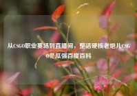 从CSGO职业赛场到直播间，整活硬核老炮儿CSGO冬瓜强百度百科