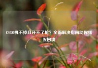 CSGO机不掉且开不了枪？全面解决指南助你摆脱困境