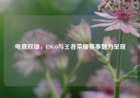电竞双雄，CSGO与王者荣耀赛事魅力呈现
