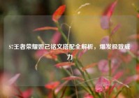 S7王者荣耀妲己铭文搭配全解析，爆发极致威力
