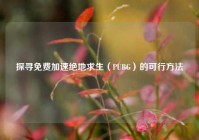 探寻免费加速绝地求生（PUBG）的可行方法