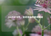 LOL对战卡死，游戏体验的噩梦瞬间