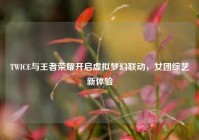 TWICE与王者荣耀开启虚拟梦幻联动，女团综艺新体验