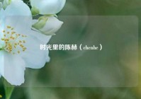 时光里的陈赫（chenhe）