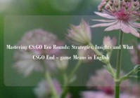 Mastering CS:GO Eco Rounds: Strategies, Insights and What CSGO End - game Means in English