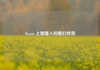 Steam 上猎魔人的魔幻传奇