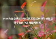 PUBG内存条满致卡顿闪退的症结解析与破解之道（含内存占用疑问解答）