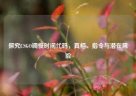 探究CSGO调慢时间代码，真相、指令与潜在风险