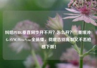 纠结PUBG垂直同步开不开？怎么开？三重缓冲/G-SYNC/FreeSync全搞懂，彻底告别撕裂又不丢枪感下限！