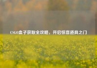 CSGO盒子获取全攻略，开启惊喜道具之门