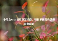 小黑盒Steam信息更新指南，轻松掌握游戏数据最新动态