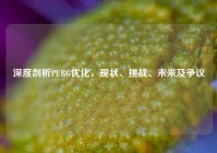 深度剖析PUBG优化，现状、挑战、未来及争议