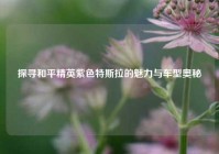 探寻和平精英紫色特斯拉的魅力与车型奥秘
