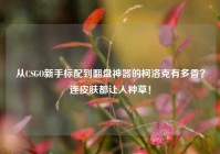 从CSGO新手标配到翻盘神器的柯洛克有多香？连皮肤都让人种草！