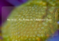 Our Steam - Up: Fueling the Collaborative Flame