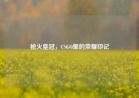 枪火皇冠，CSGO里的荣耀印记