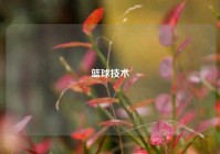 篮球技术