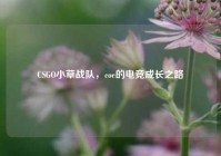 CSGO小草战队，coe的电竞成长之路
