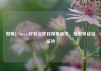 警惕！Steam好友盗库存现象高发，玩家权益受威胁