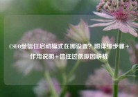CSGO受信任启动模式在哪设置？附详细步骤+作用说明+信任过低原因解析