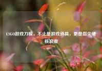 CSGO游戏刀模，不止是游戏道具，更是指尖硬核浪漫