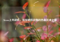 Steam上开战机，驾驭钢铁战鹰的热血沉浸之旅