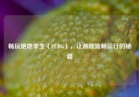 畅玩绝地求生（PUBG），让游戏流畅运行的秘籍