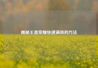 揭秘王者荣耀快速满级的方法