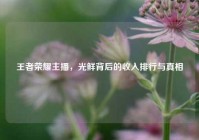 王者荣耀主播，光鲜背后的收入排行与真相