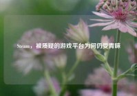 Steam，被质疑的游戏平台为何仍受青睐
