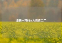 走进一珂的CF火线话工厂