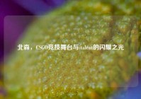 北森，CSGO竞技舞台与italent的闪耀之光