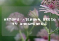 王者荣耀解说，入门靠长相加分，留客看专业实力！你对解说颜值有何看法？