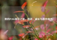 我的PUBG排位之旅，挑战、成长与条件探寻