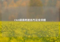 CSGO读条时退出方法全攻略
