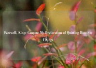 Farewell, Kings Canyon: My Declaration of Quitting Honor of Kings