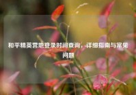和平精英营地登录时间查询，详细指南与常见问题
