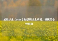 绝地求生（PUBG）帧数调试全攻略，畅玩无卡顿秘籍