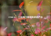 CF800 8A，工业阀门领域的卓越产品