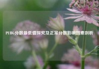 PUBG分数最低值探究及正常分数影响因素剖析