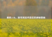 解析cf ffh，探寻其技术背后的神秘奥秘