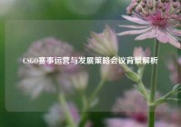 CSGO赛事运营与发展策略会议背景解析